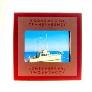 Meet your Posher, Darby